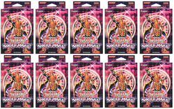 Samurai Assault - Special Edition Display